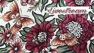 DAGDRÖMMAR: Coloring butterflies