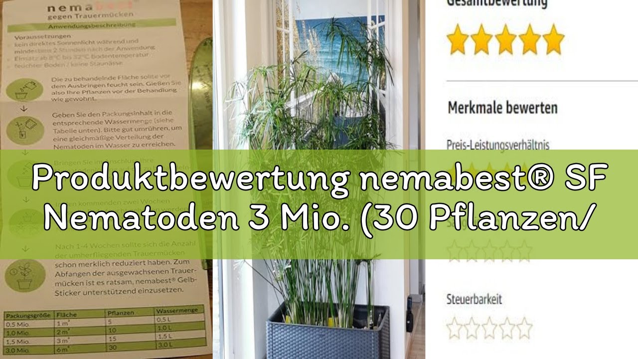 Produktbewertung nemabest® SF Nematoden 3 Mio. (30 Pflanzen/6m²) gegen Trauermücken