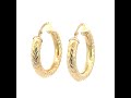 Video: 10Kt Gold Fancy Hoop Earrings 4mm