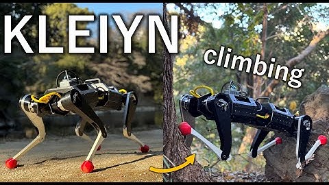 KLEIYN : A Quadruped Robot with an Active Waist for Wall Climbing (IROS 2025)