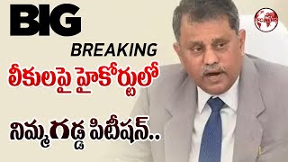 SEC Nimmagadda Ramesh Files Another Petition in High Court Over His Letter To Governor | TFC NEWS