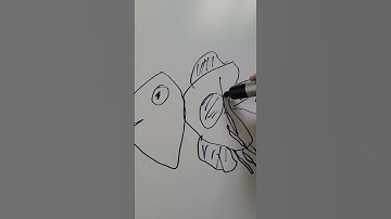 how to draw a fish drawing version section selection pattern moment ocean sea creature deep layer ai