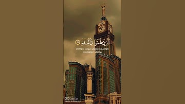 سوره الفجر من 1 إلى 15