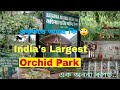 Kaziranga National Orchid Park | The World Largest Orchid Park|কপৌ ফুল,অৰ্কিড পাৰ্ক | Assam Tourism