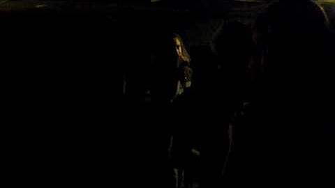 Find My Way (1:21 CLIP) - Analog Signal