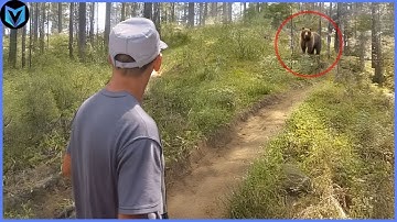 Most Terrifying Bear Encounters Ever Caught On Camera!