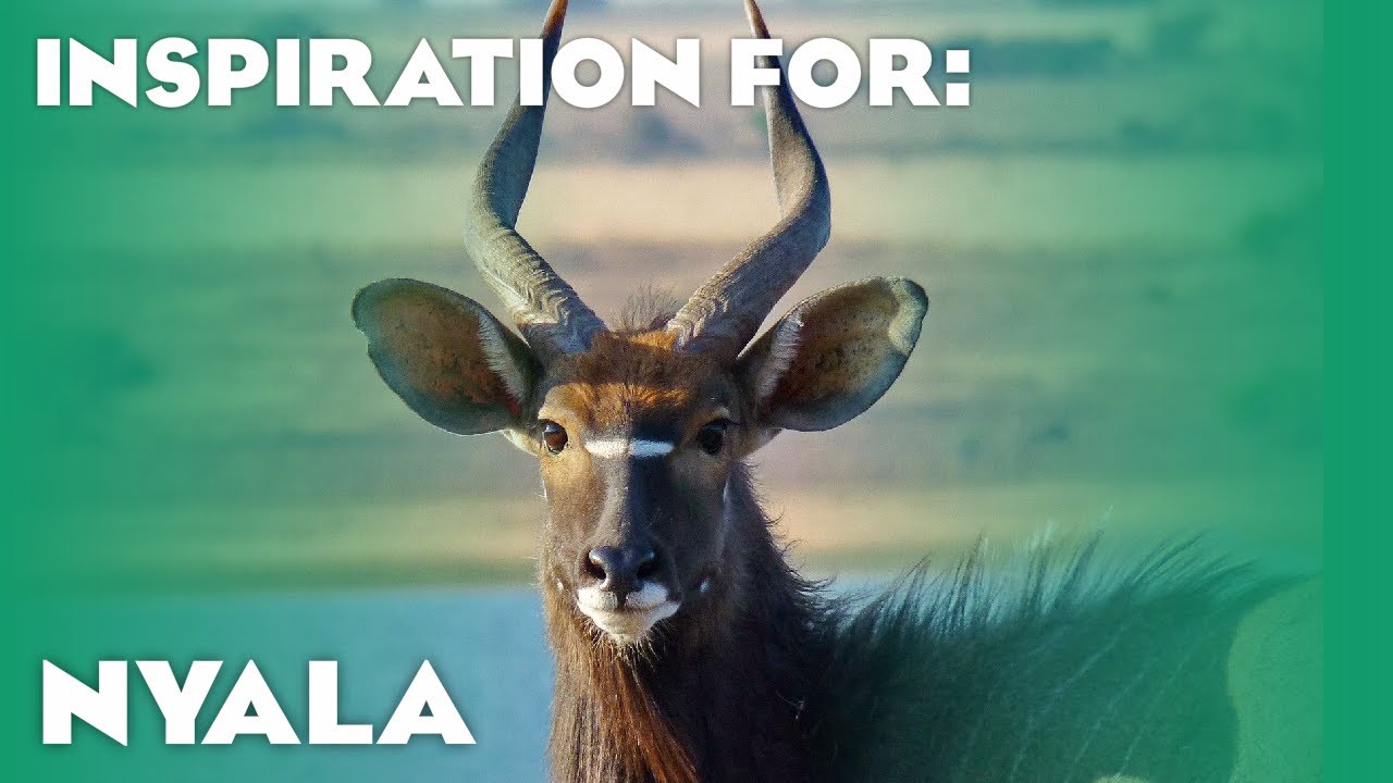 7 Real Nyala Habitats! (Planet Zoo Inspiration)