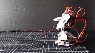 【二足歩行ロボット】自作ロボット 歩行【電子工作】
