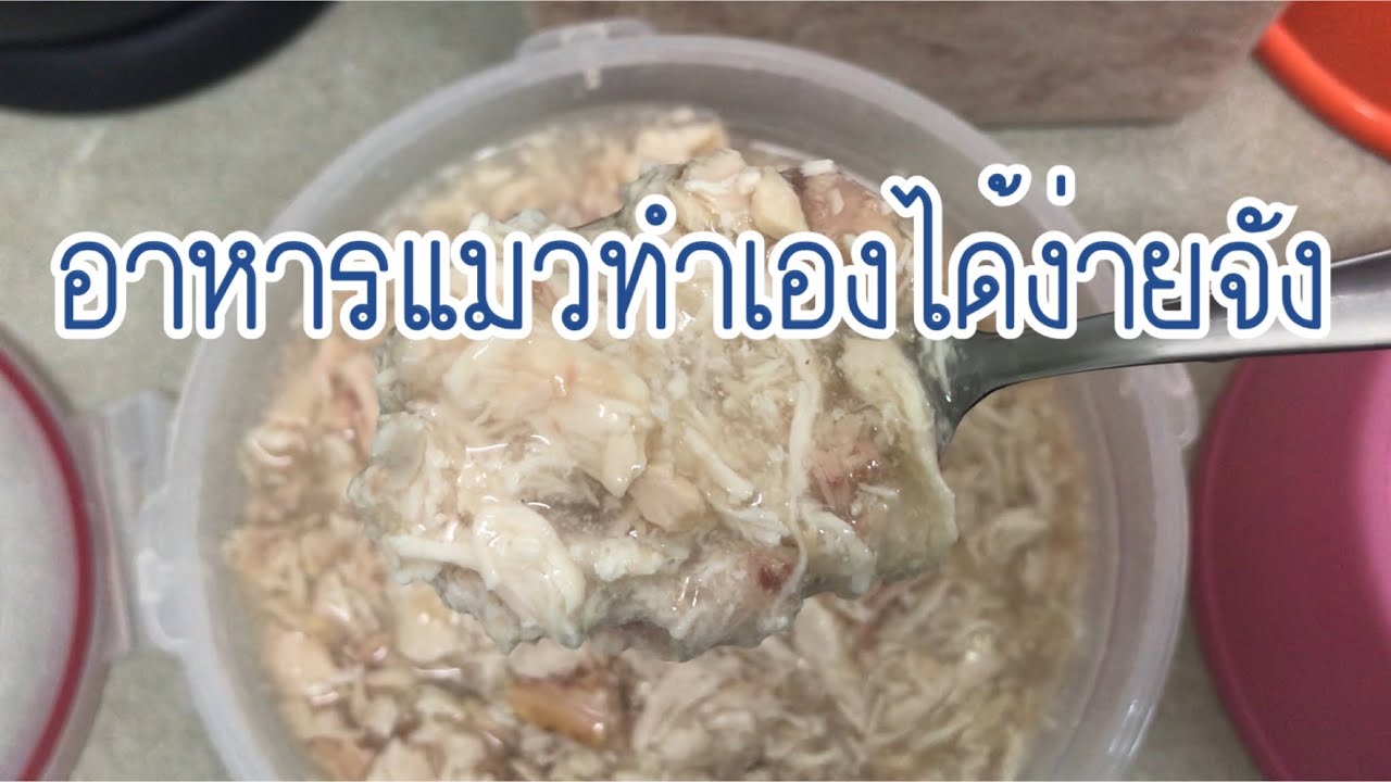 อาหารแมวทำเองได้ง่ายจัง version 1 | ป้ามาแชร์ | สังเคราะห์ข้อมูลเกี่ยวกับอาหาร แมว pantipได้แม่นยำที่สุด