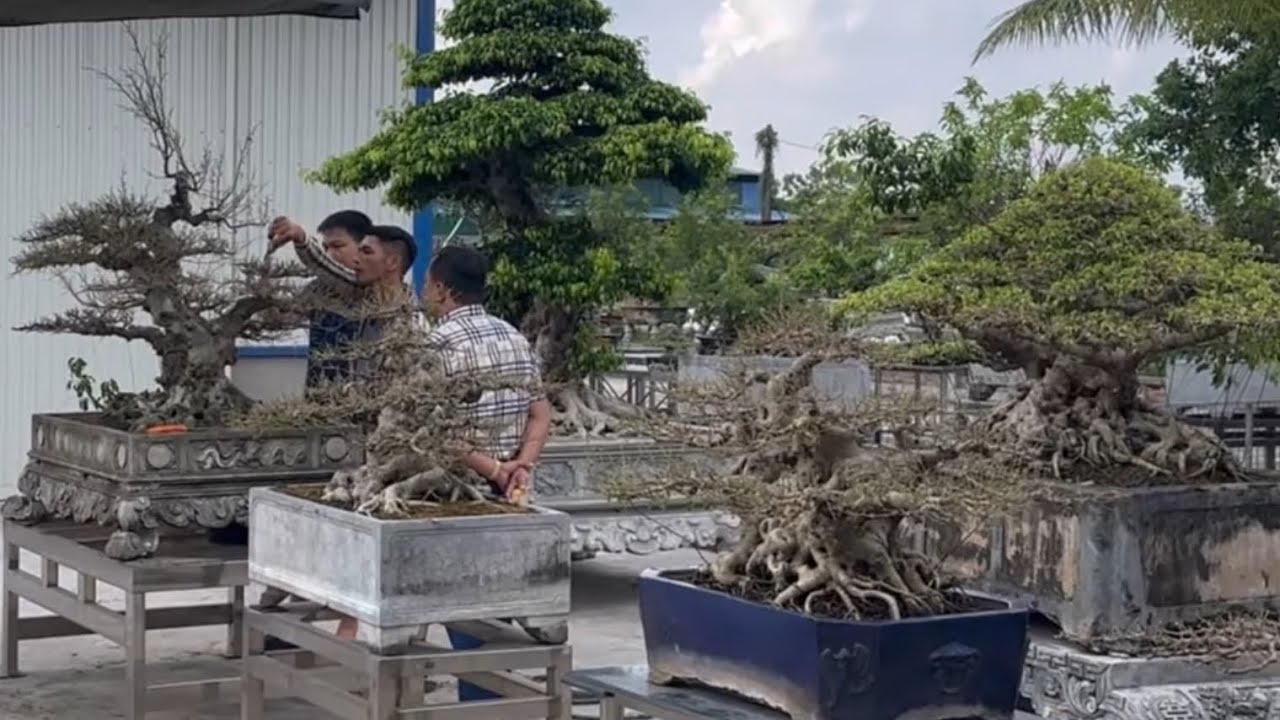 VDBS : HÀNG LOẠT ĐỒ QUÝ XUẤT HIỆN Ở PHÍA CUỐI VƯỜN BẠN THẮNG NHÔM CHỢ CHÙA - NAM ĐỊNH !