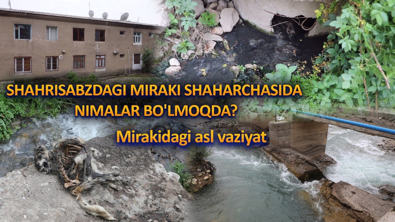 ШАҲРИСАБЗДАГИ МИРАКИ ШАҲАРЧАСИДА НИМАЛАР БЎЛМОҚДА?