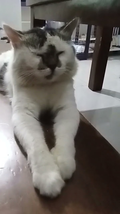 tidur dulu ah.....capek pura pura bahagia