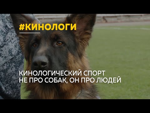В Барнауле прошел чемпионат и первенство края по кинологическому спорту