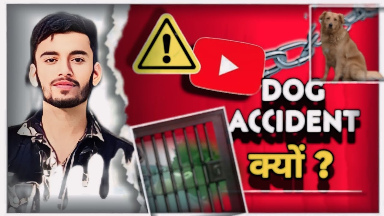 कुत्ते गाड़ी के पीछे क्यों भागते है ?| Why do dogs run after cars?| kuta car ke piche kyu karta hai