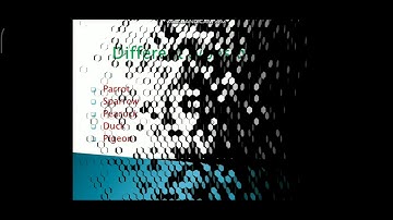 Class 6 ch 6 Animating text & object part 2