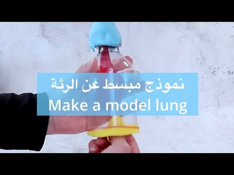نموذج للاطفال عن الرئة    