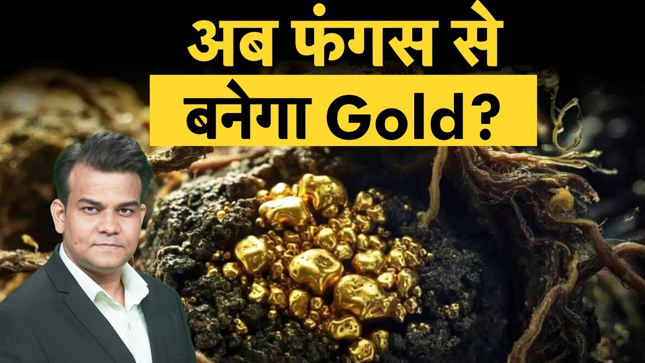Fungus that produces gold| Gold बनाने का नया तरीका!