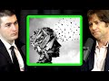 Autonomous weapons should be banned | Max Tegmark and Lex Fridman