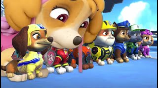 PAW Patrol On a Roll Funny Cartoon Animation! Full Episode Ultimate Rescue Mission 14 Nick.Jr HD