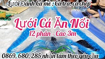 lưới cá mè,, lưới đánh cá ăn nổi, lưới đánh cá to lớn lưới cá chép, lưới cá tra gửi về miền tây