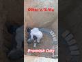 Other Vs Me in 14th February #velantinesday #construction