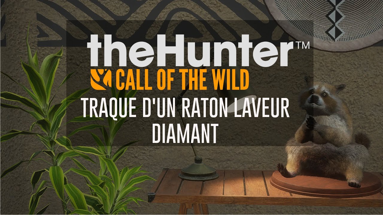 theHunter: Traque d'un Raton Laveur Diamant ft. Kimzoh