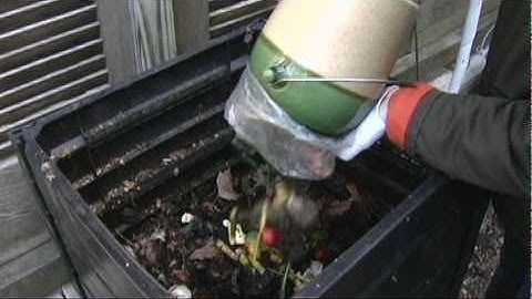 Composting Episode. 3-Black Bin.mpg