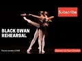 Black Swan Pas de deux