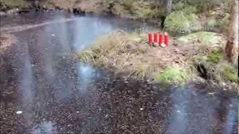 Outdoor traditional Swedish Advent Candles on the first Sunday of Advent / Adventslys / Adventsljus