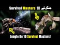 Top 10 Survival Masters of Nature! 😱 #wildfacts #animals #survival