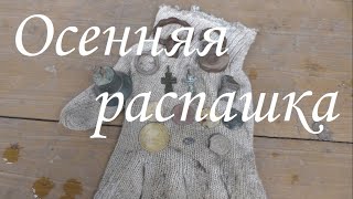 Распаханная деревня. Монета Петра 1