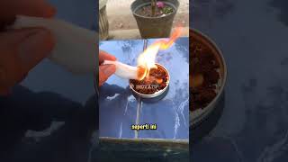Download Lagu Obat nyamuk alami murah MP3 Download Lagu Obat nyamuk alami murah MP3