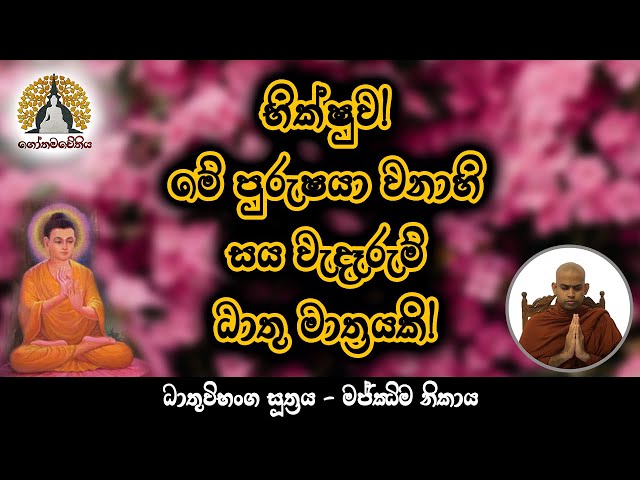 6️⃣භික්ෂුව! මේ පුරුෂයා වනාහි සය වැදෑරුම් ධාතු මාත්‍රයකි! | ධතුවිභංග සූත්‍රය 🙏
