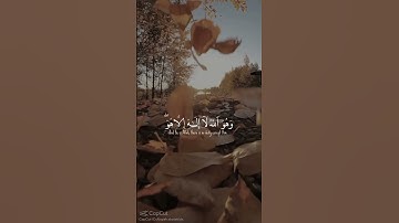 Surah Al Qasas - Yasser Al Dosari | سورة القصص- ياسر الدوسري #quran #اكسبلور #allah #قرآن #india