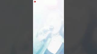 Sean Paul Ft Dual Lipa