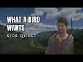 Final Fantasy XVI – What a Bird Wants | Chapter 2 Side Quest Walkthrough (PS5 Gameplay)