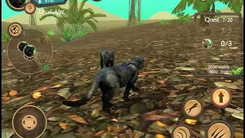 Wild Panther Sim 3D - Rainforest RPG Adventure iOS Gameplay - Part 3