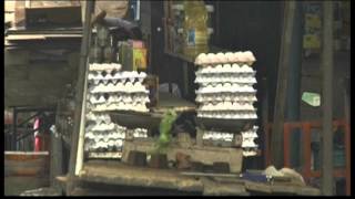 220WD-v2-MIDEAST-GAZA FOOD