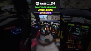 Snaking Around! RALLY ISLAS CANARIAS SIMRIG POV