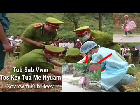 Video: Qhov Twg Yuav Mus Nrog Cov Me Nyuam Nyob Rau Xyoo Tshiab