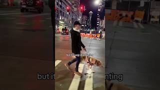 Blind man goes out at night with his guide dog #shorts