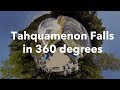 Tahquamenon Falls in 360 Degrees | Pure Michigan