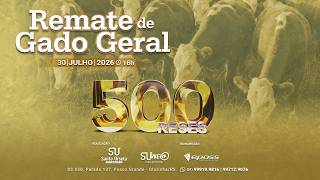 Remate de Gado Geral  - 500 Reses - 30 de Julho de 2026