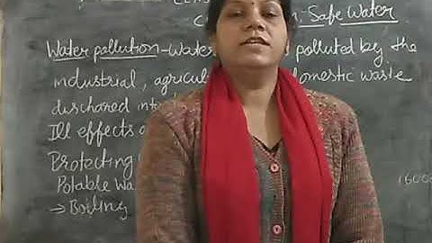 Bhartiyam Public School /class 4/Science/Chapter16