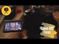 Canon 60D Focus Tips