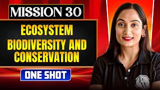 ECOSYSTEM + BIODIVERSITY & CONSERVATION in ONE SHOT | All Concepts, Tricks & PYQs | NEET 2026