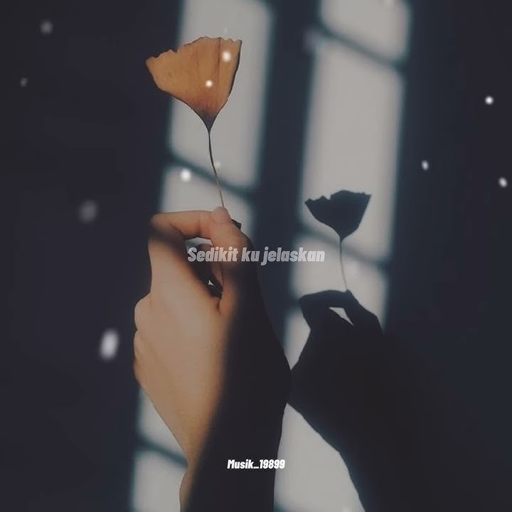 Nadin amizah - Bertaut ( Cover Ray sanjaya ) story wa