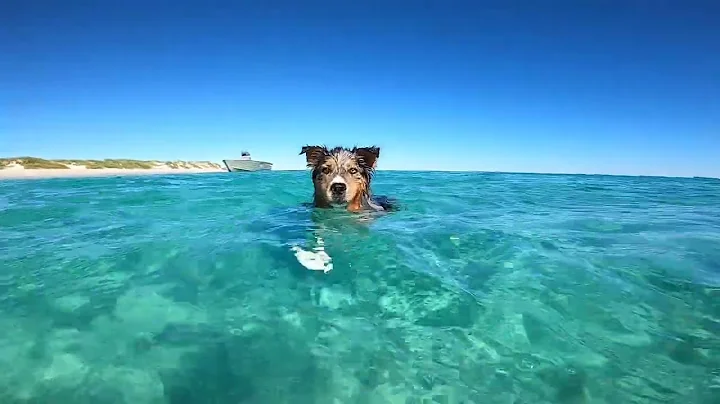Ningaloo 2022
