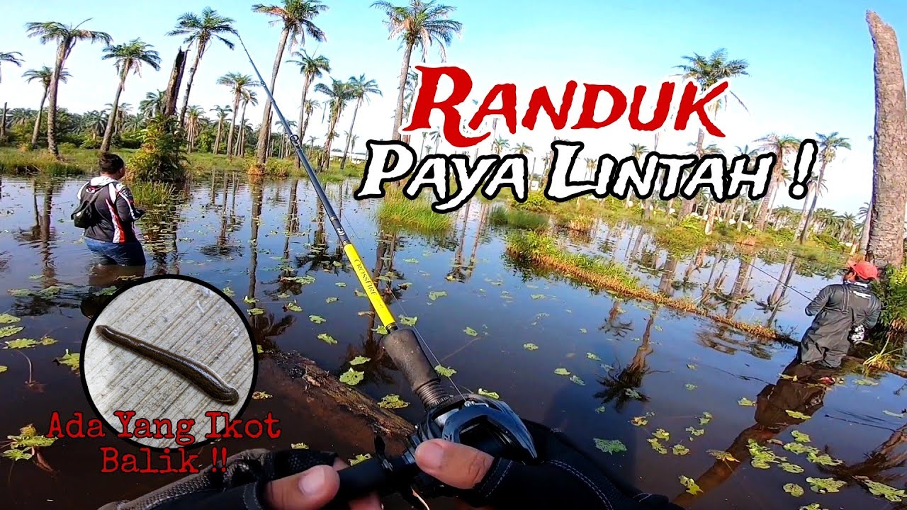 MERANDUK PAYA BANYAK LINTAH || CASTING HARUAN DI LADANG SAWIT SEPANG || MANCING HARUAN TENGAHARI !!