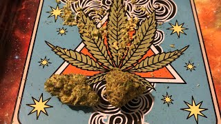 Full Trulieve Cherry Punch 🤛 Flower Review : Happy Danksgiving 🦃 Florida Medical Marijuana Review Update